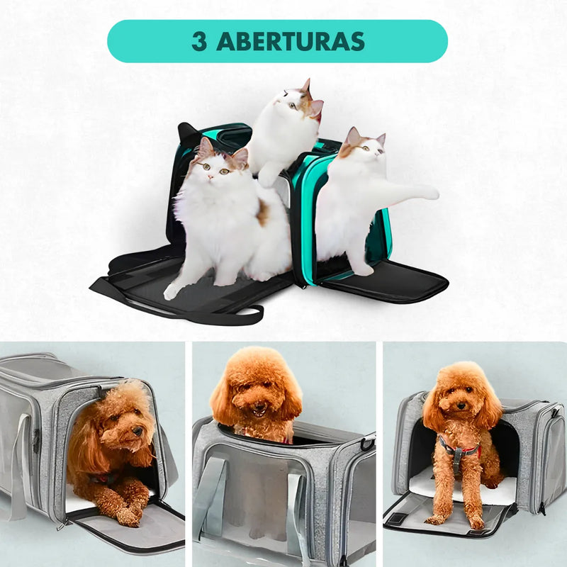 Bolsa De Viagem Para Transporte Pet - Verde